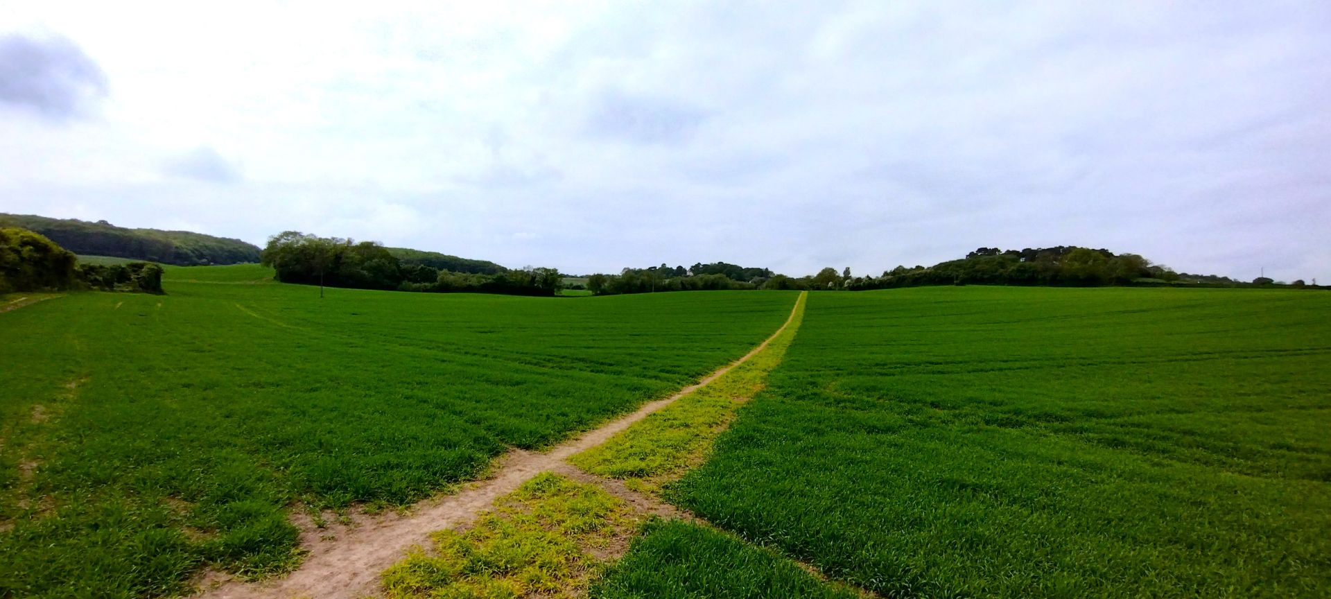 a footpath going across a farmers field